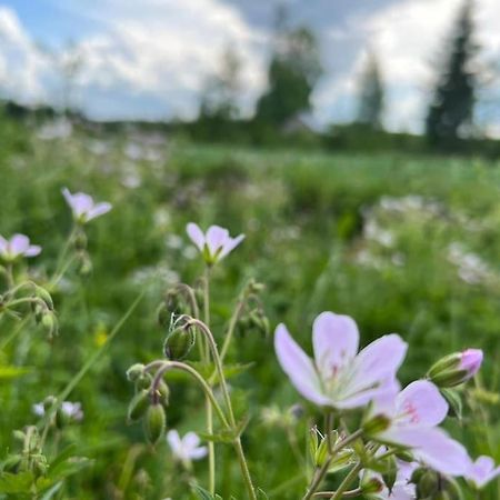 Kolocabins - Hiitolanjoki 1 Simpele Bagian luar foto