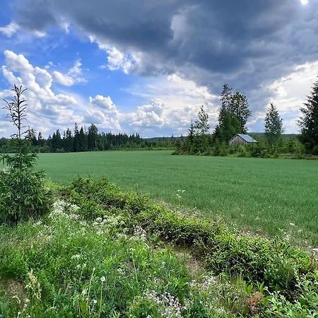 Kolocabins - Hiitolanjoki 1 Simpele Bagian luar foto