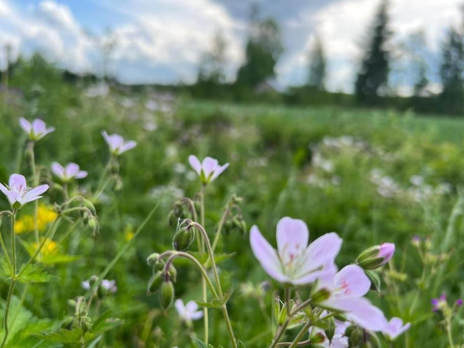 Kolocabins - Hiitolanjoki 1 Simpele Bagian luar foto