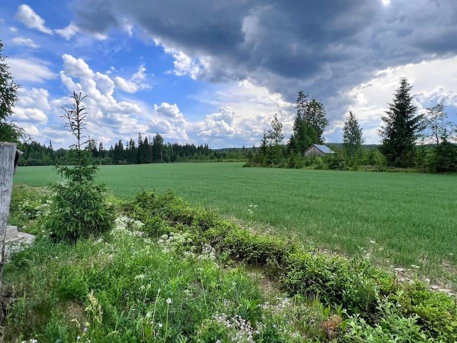 Kolocabins - Hiitolanjoki 1 Simpele Bagian luar foto